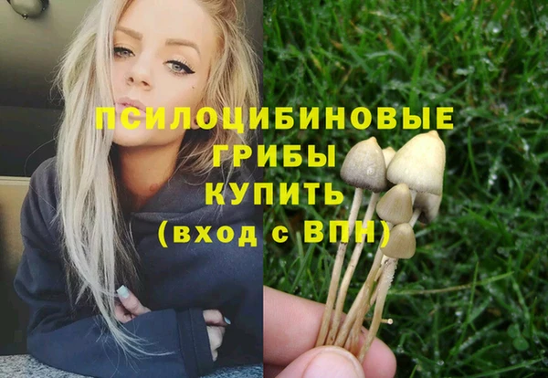 винт Покров
