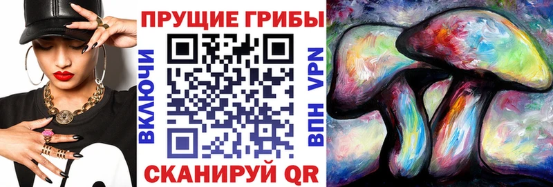 купить  цена  KRAKEN ONION  Галлюциногенные грибы мухоморы  Славгород 